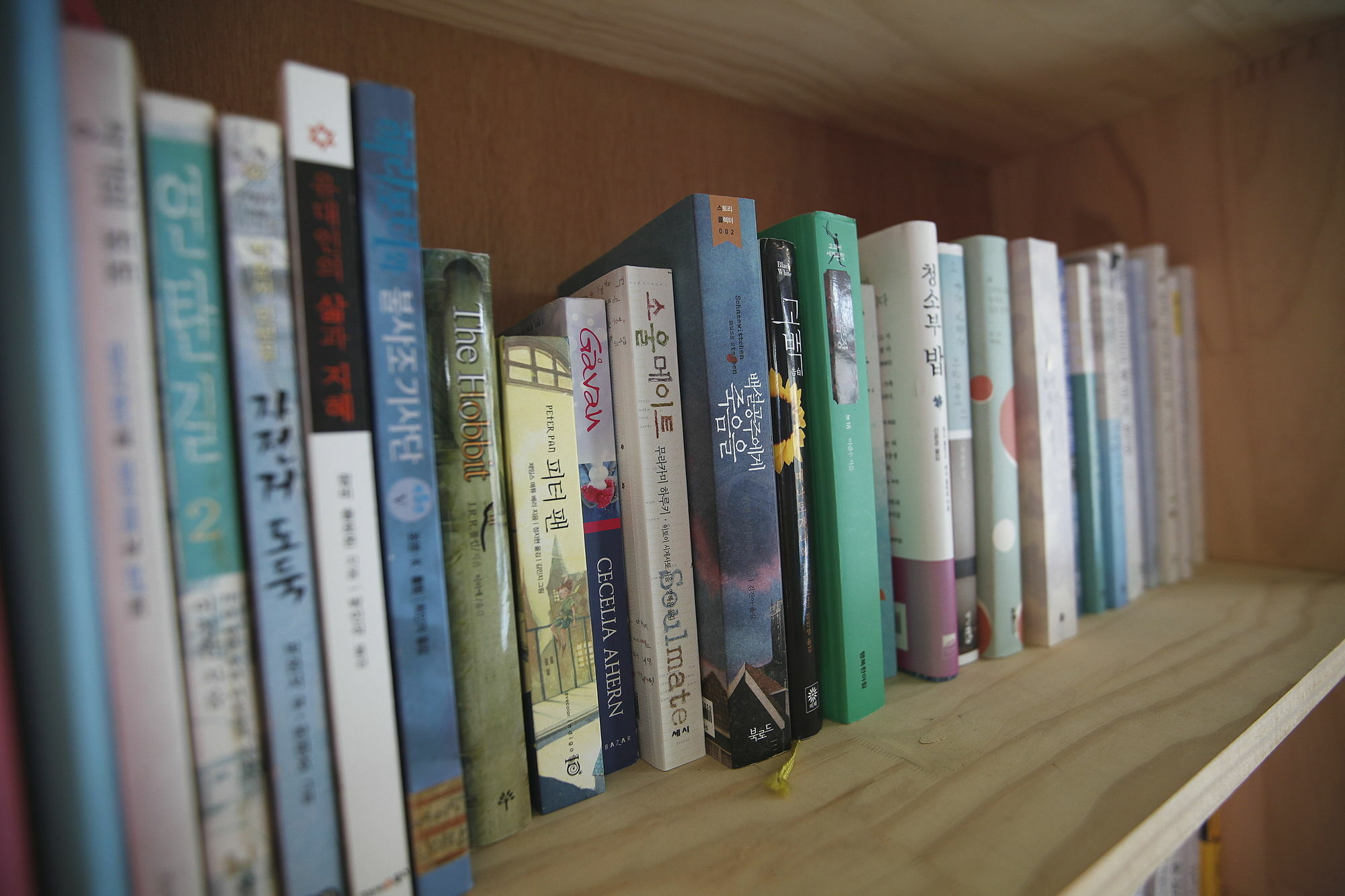Bluefish Guesthouse ปูซาน ภายนอก รูปภาพ