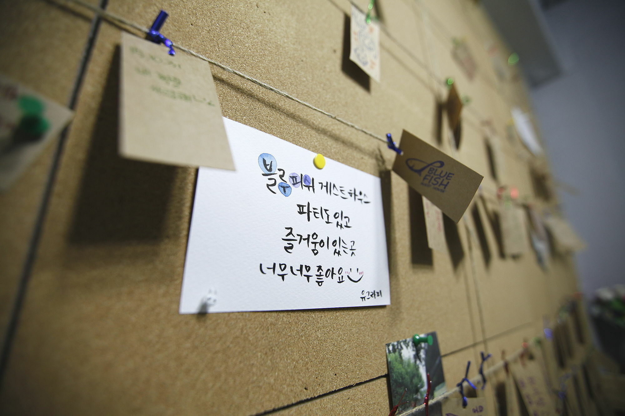 Bluefish Guesthouse ปูซาน ภายนอก รูปภาพ